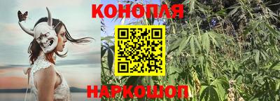 кокс Белореченск
