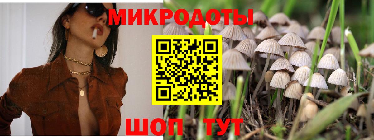 Галлюциногенные грибы Magic Shrooms  Вход с VPN  купить  цена  Новоалтайск  Галлюциногенные грибы мухоморы 